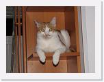Immagine 015 * 2592 x 1944 * (1.3MB)